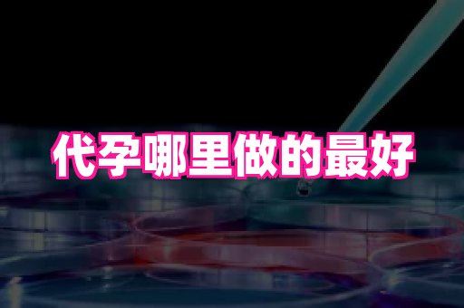 杭州助孕网站 4